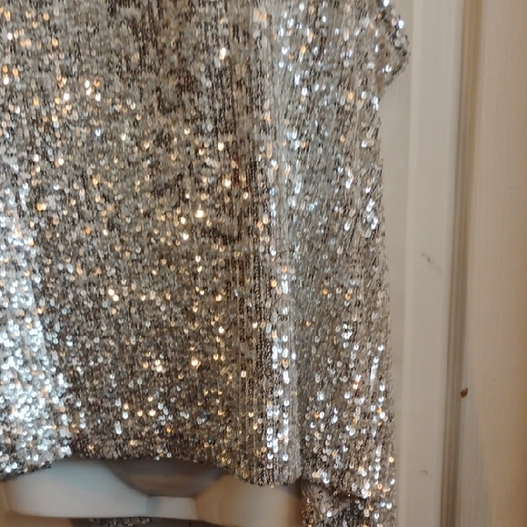 Daytrip Silver Sequin Tank Top - Picture 3 of 15